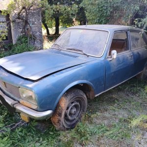 Renault 504